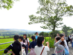 news17081105