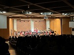 IMG_0334