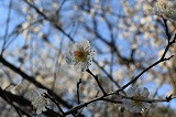 IMG_2396
